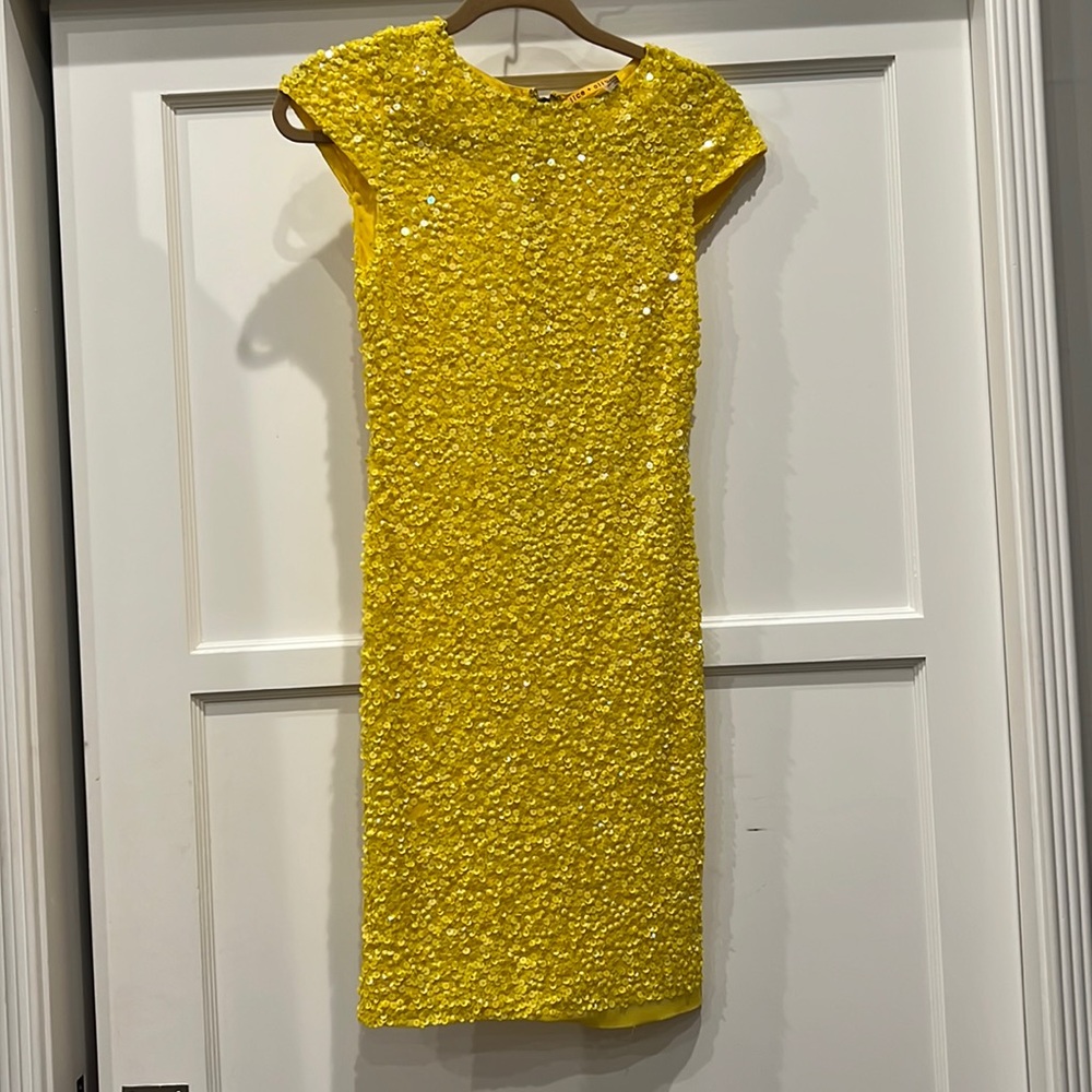 Alicia and Olivia sequin dress size 0. Only warn once